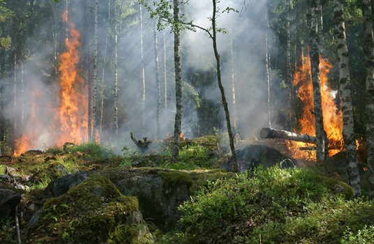 My list of Wildfire, Weather/Wind, Lightning and Air Quality web sites and apps